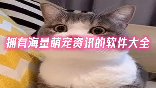 拥有海量萌宠资讯的软件大全