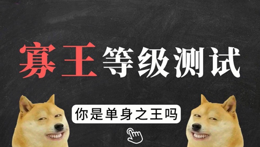 寡王等级测试入口图1