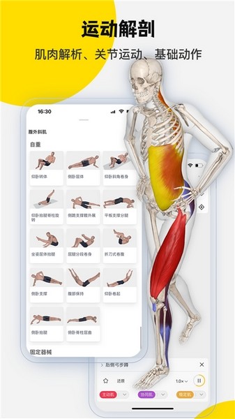 3Dbody解剖图2