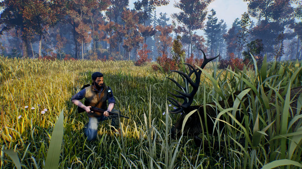 辽阔旷野免安装中文安卓版  v1.0图2