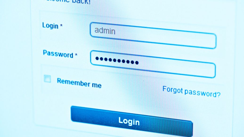 windows11系统合集