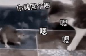 等你半天你也只回了恩动图图2