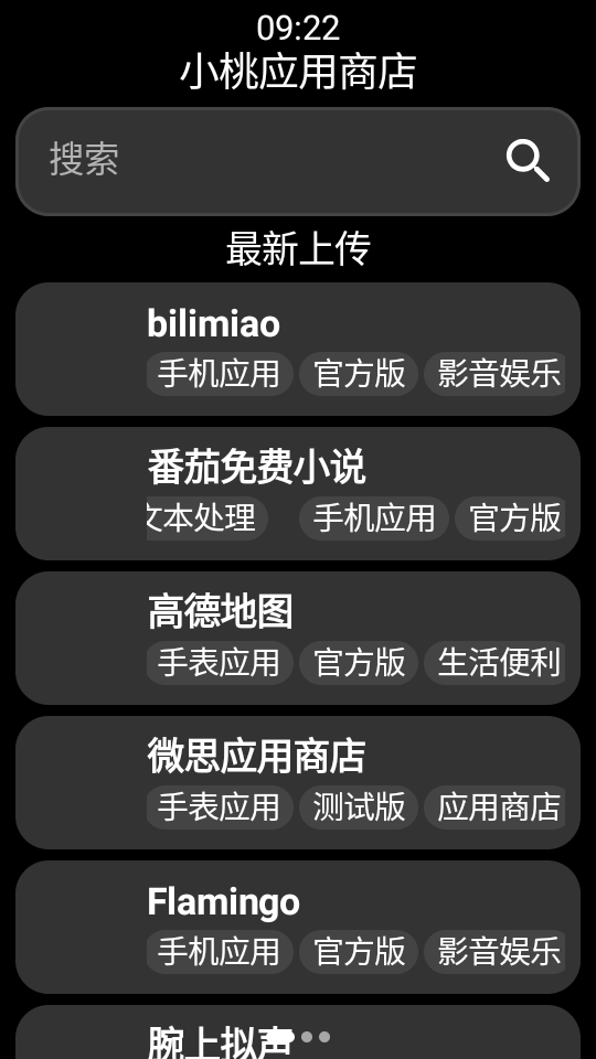 小桃应用商店手表版图2