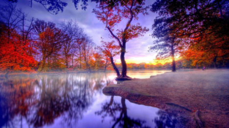 不要钱的动态壁纸软件合集