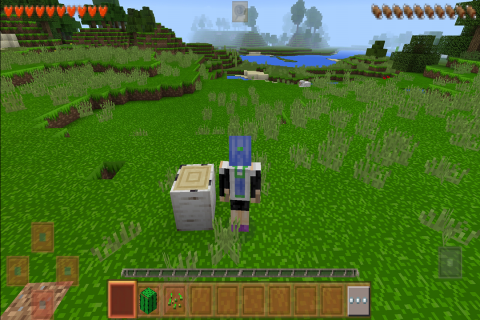 生存战争2贝爷生存中文版图1