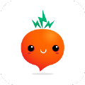 萝卜买车官网app手机版下载安装  v1.0