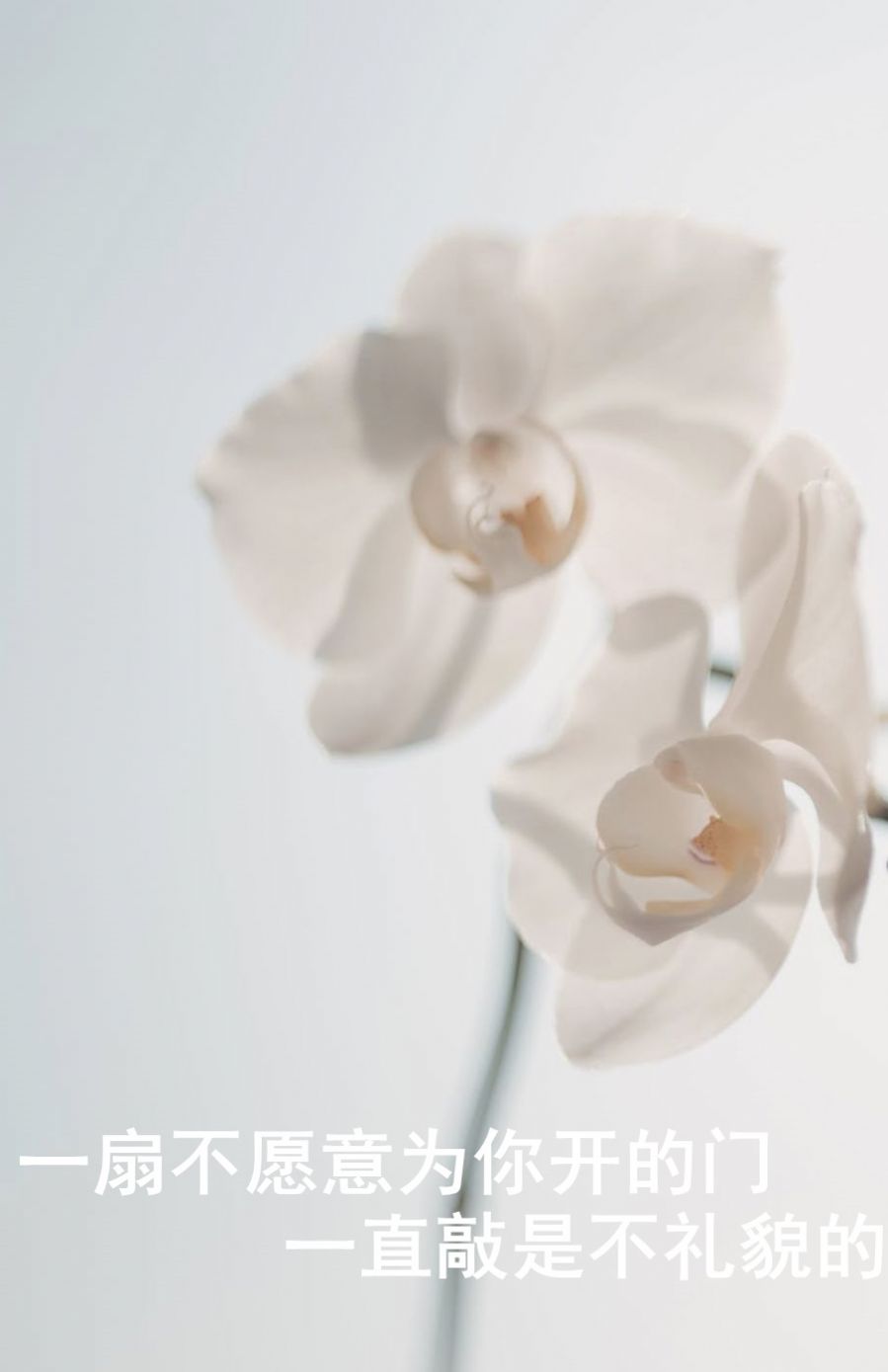 一扇不愿意为你开的门图片图3