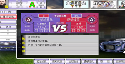 职业足球生涯图2