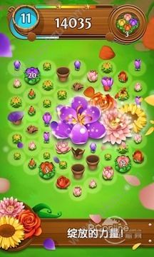 绽放花朵传奇安卓版图3