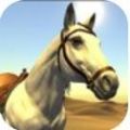 沙漠赛马游戏最新手机版  v1.0.0