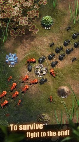 行星蚂蚁游戏安卓最新版  v0.0.1.1图1