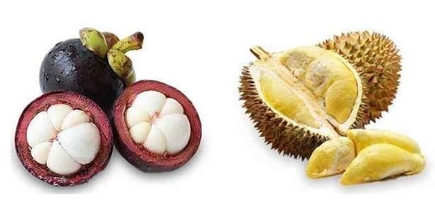 为什么女生喜欢吃榴莲和山竹内涵解答出处图片1