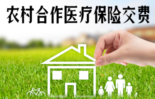 2022农村合作医疗缴费软件合集