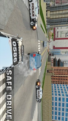 黑手党：唐人街图3