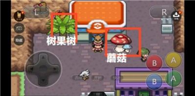 口袋妖怪黑白2攻略图1