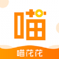 喵花花app