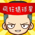 疯狂球星猜手机游戏最新安卓版下载  v1.0