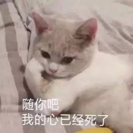 所以爱会消失对不对表情包图1