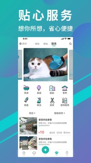 宠都app官方版  v3.1.22图2