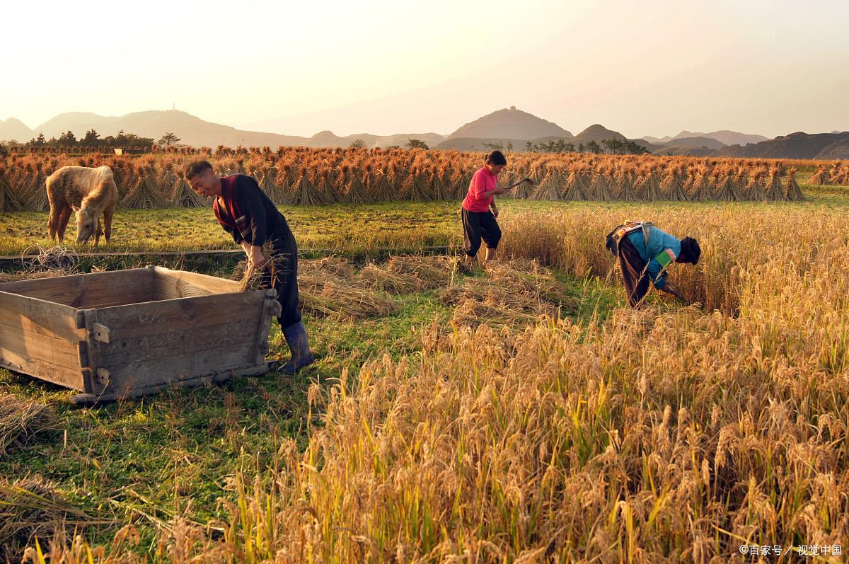 农业种植技术软件合集