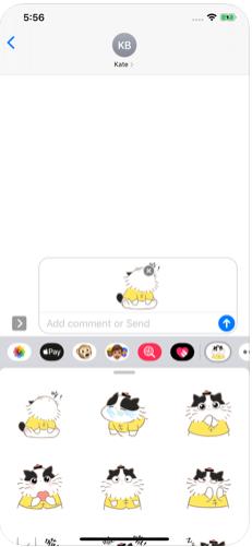 傲娇坏坏猫app图2