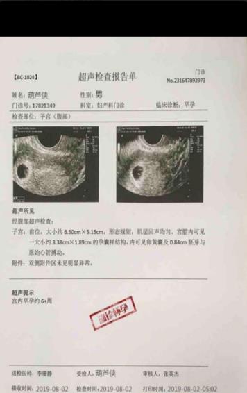 怀孕伪造p图输入名字恶搞软件官方版  v1.0图1