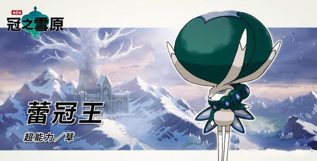 宝可梦剑盾冠之雪原游戏图2