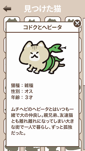 寻找猫咪游戏图2