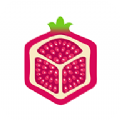 方石榴app