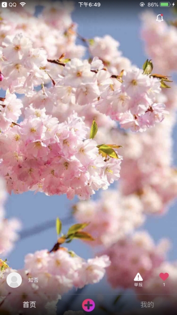 点实惠app官方手机版下载  v1.0图3