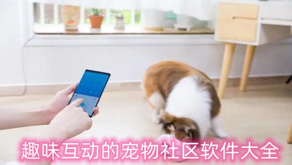 趣味互动的宠物社区软件大全