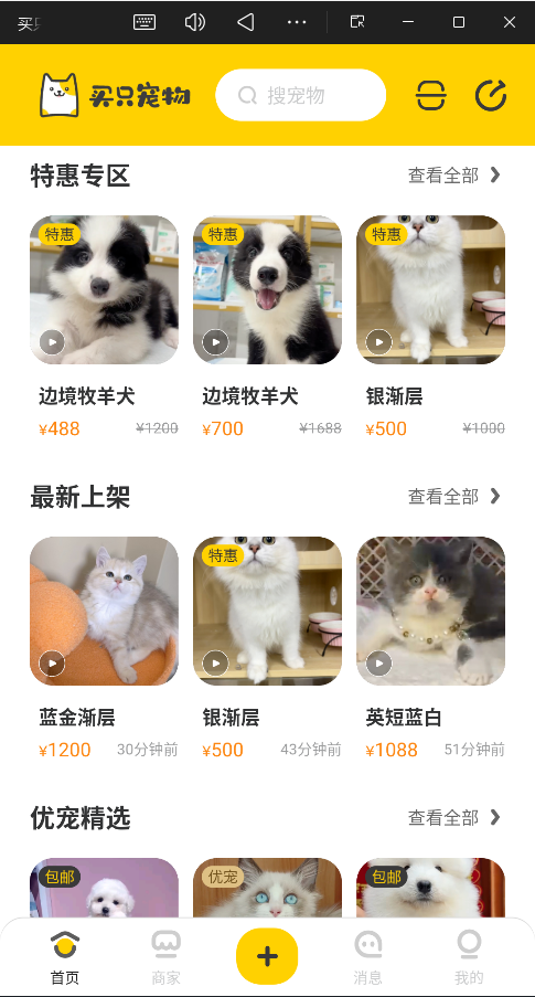 买只宠物安卓版图3