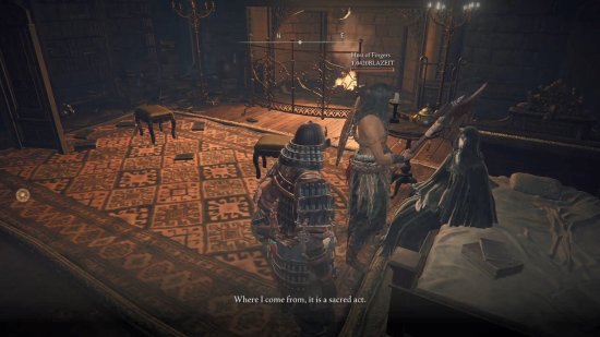 艾尔登法环无缝联机mod中文免安装版  1.0图2