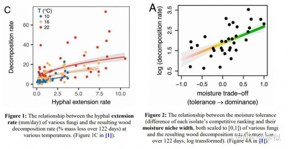 2021美赛a题思路图1