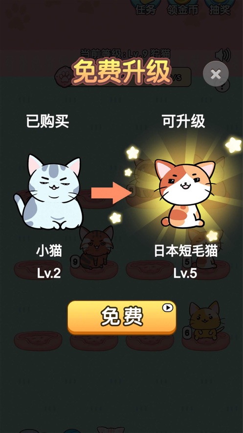 我的小猫金币红包  v1.0.2图2