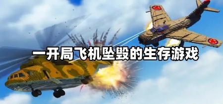 一开局飞机坠毁的生存游戏