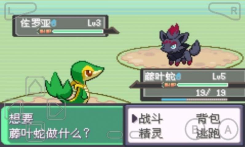 口袋妖怪漆黑的魅影6.0洁白游戏2021最新版下载  v4.8.6.6图4