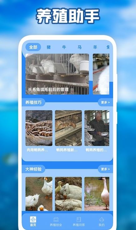 养猪场之星学习电子版图1