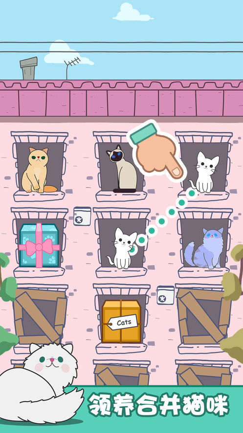 猫咪进化论心动契约官网版图2