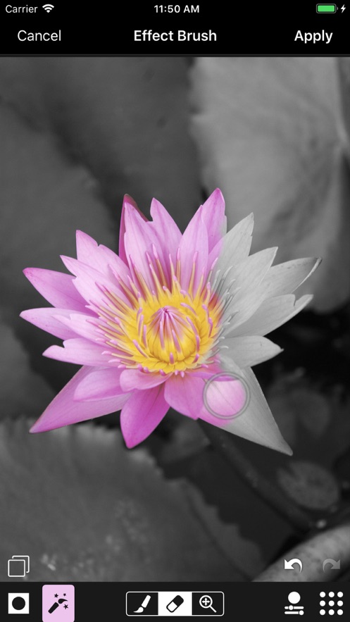 ACDSee Pro app软件下载  v4.5.1图1