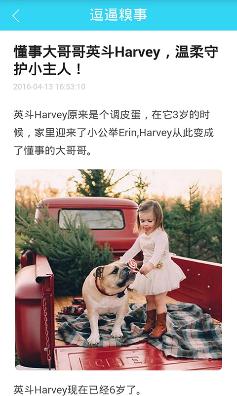 狗狗助手逗狗神器图5