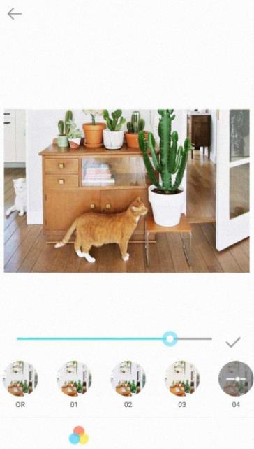 天天美图相机app图1