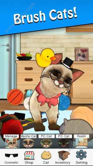 狂刷猫咪金币安卓版 v1.41图4