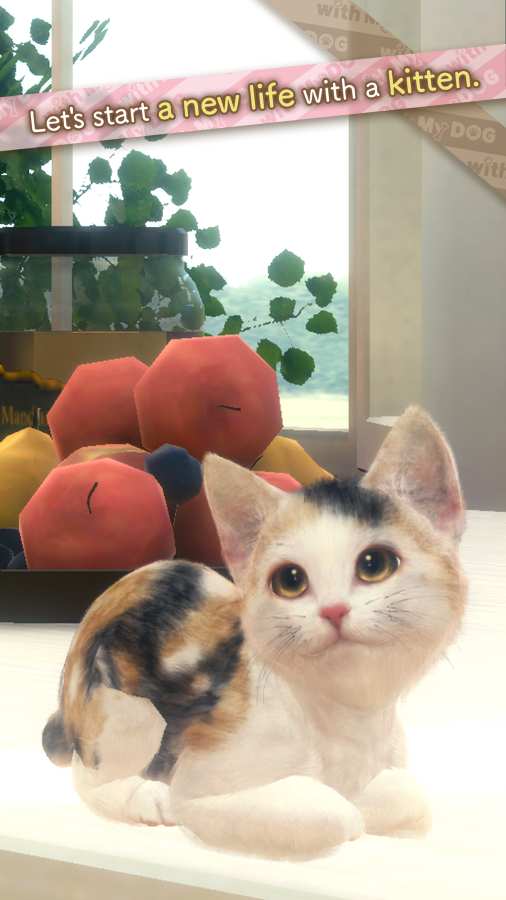 和我的猫在一起游戏官方版 v1.0图4