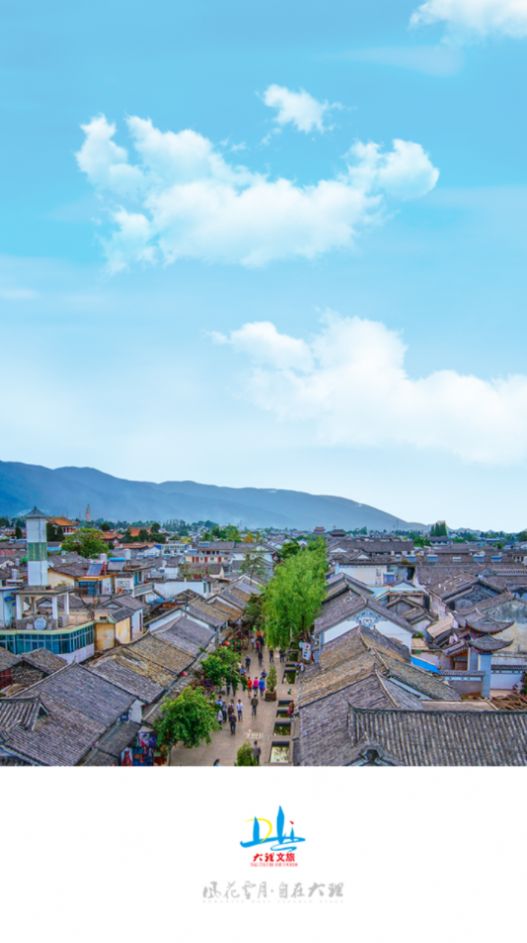 大理文旅App图1