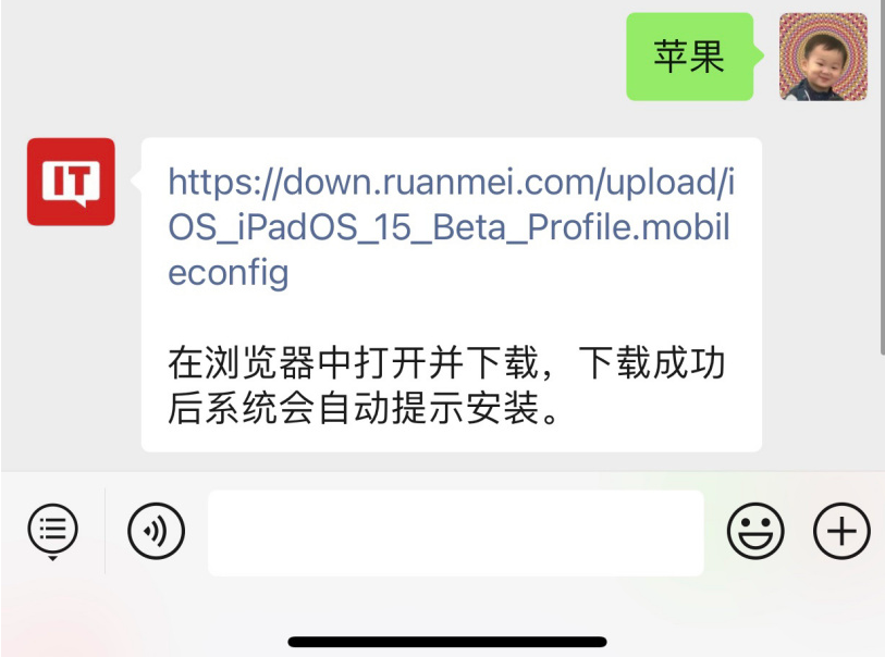 iOS15.1Beta3系统描述文件更新升级推送  v1.0图2