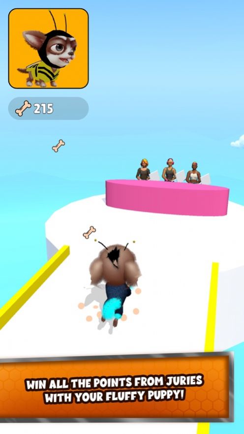 Pet Care Run游戏图5