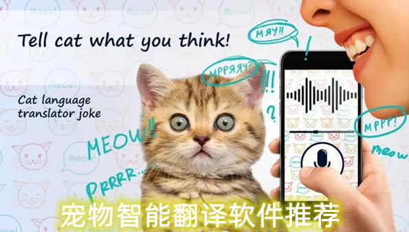 宠物智能翻译软件推荐