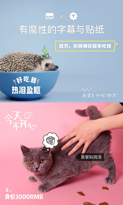 猫饼短视频app图4