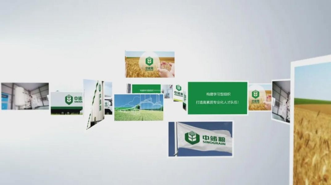 中储粮安全监管安卓图2